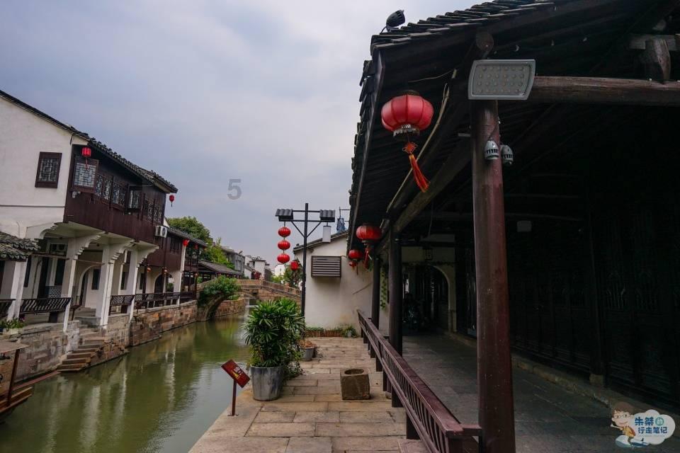 梦想的后院